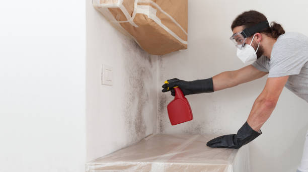 Professional Mold Cleanup technician working in Flanders, NJ